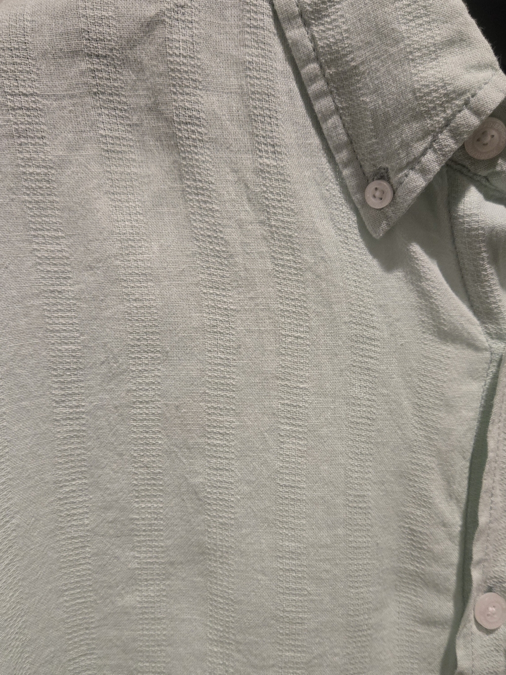 Short-Sleeve Button-Down Shirt in Light Mint Green